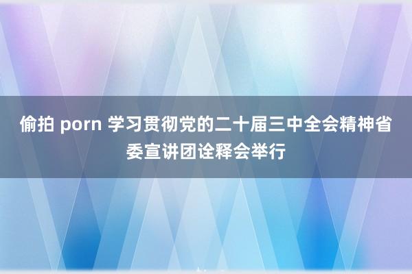 偷拍 porn 学习贯彻党的二十届三中全会精神省委宣讲团诠释会举行