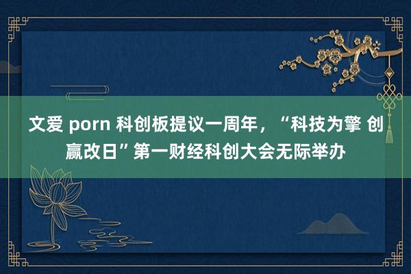 文爱 porn 科创板提议一周年，“科技为擎 创赢改日”第一财经科创大会无际举办