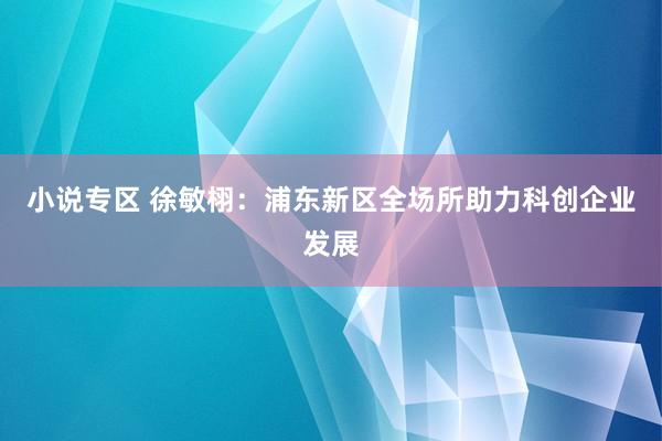 小说专区 徐敏栩：浦东新区全场所助力科创企业发展