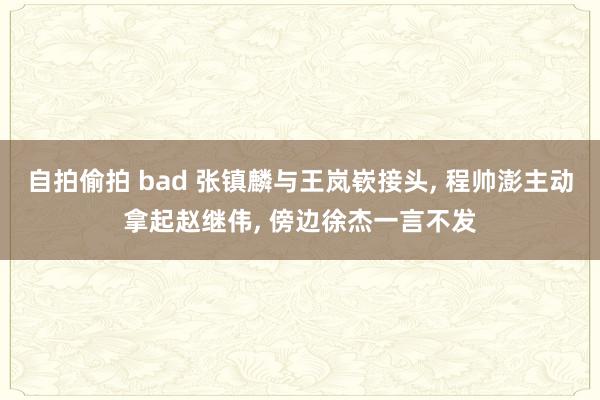 自拍偷拍 bad 张镇麟与王岚嵚接头， 程帅澎主动拿起赵继伟， 傍边徐杰一言不发