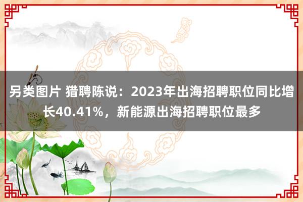 另类图片 猎聘陈说：2023年出海招聘职位同比增长40.41%，新能源出海招聘职位最多