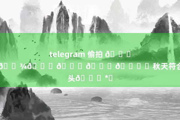 telegram 偷拍 🍁𝖬𝖾𝖾𝗍𝗂𝗇𝗀▸秋天符合碰头🎀*◞