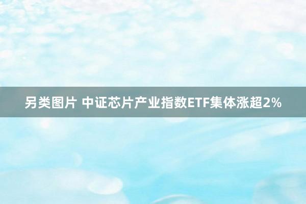 另类图片 中证芯片产业指数ETF集体涨超2%