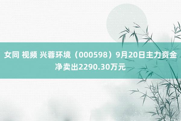 女同 视频 兴蓉环境（000598）9月20日主力资金净卖出2290.30万元