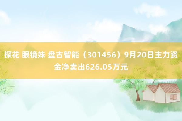 探花 眼镜妹 盘古智能（301456）9月20日主力资金净卖出626.05万元