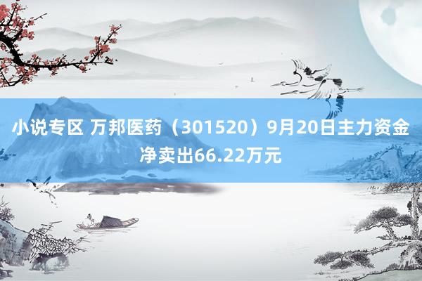 小说专区 万邦医药（301520）9月20日主力资金净卖出66.22万元