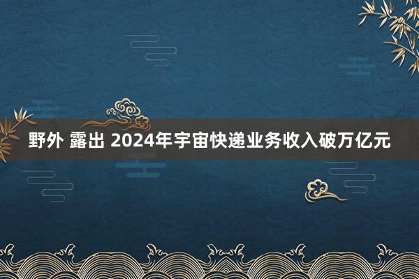 野外 露出 2024年宇宙快递业务收入破万亿元