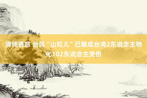 清纯诱惑 台风“山陀儿”已酿成台湾2东说念主物化102东说念主受伤