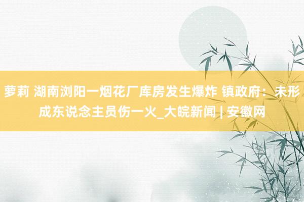 萝莉 湖南浏阳一烟花厂库房发生爆炸 镇政府：未形成东说念主员伤一火_大皖新闻 | 安徽网