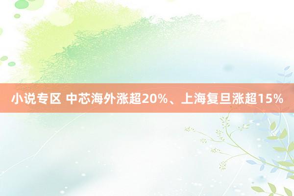 小说专区 中芯海外涨超20%、上海复旦涨超15%