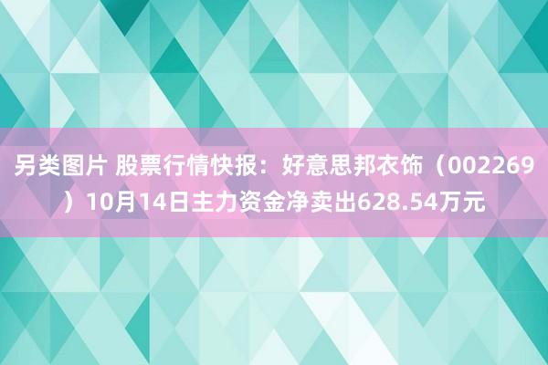 另类图片 股票行情快报：好意思邦衣饰（002269）10月14日主力资金净卖出628.54万元