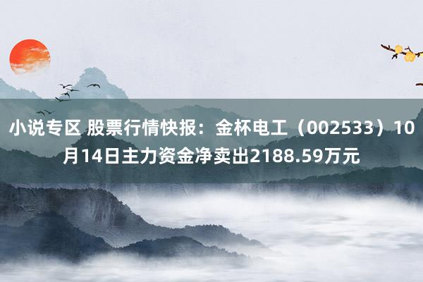 小说专区 股票行情快报：金杯电工（002533）10月14日主力资金净卖出2188.59万元