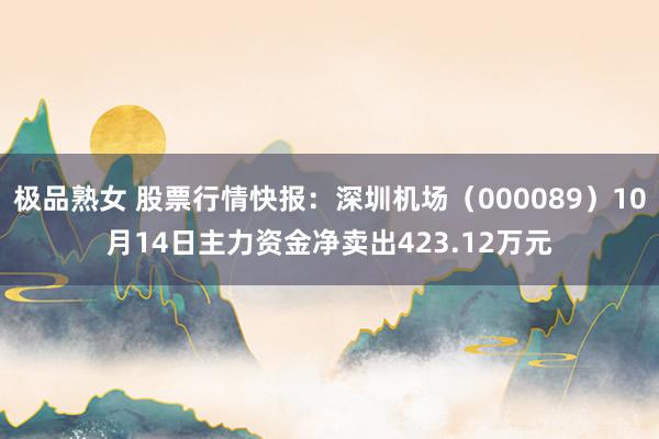 极品熟女 股票行情快报：深圳机场（000089）10月14日主力资金净卖出423.12万元