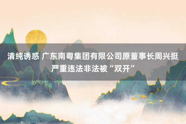 清纯诱惑 广东南粤集团有限公司原董事长周兴挺严重违法非法被“双开”