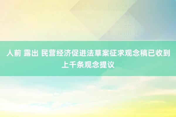 人前 露出 民营经济促进法草案征求观念稿已收到上千条观念提议