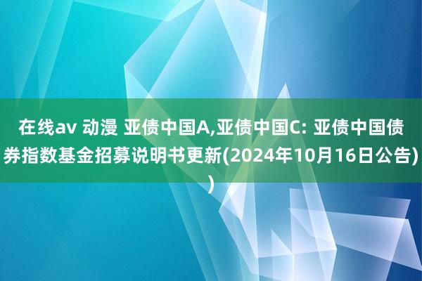 在线av 动漫 亚债中国A，亚债中国C: 亚债中国债券指数基金招募说明书更新(2024年10月16日公告)