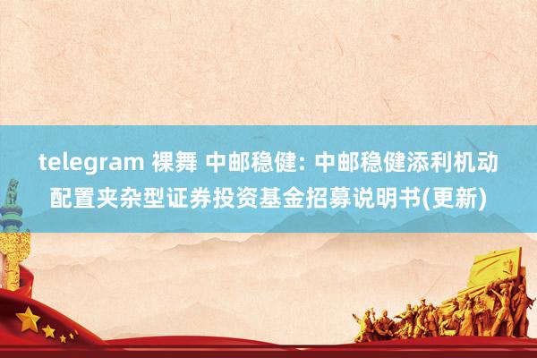 telegram 裸舞 中邮稳健: 中邮稳健添利机动配置夹杂型证券投资基金招募说明书(更新)