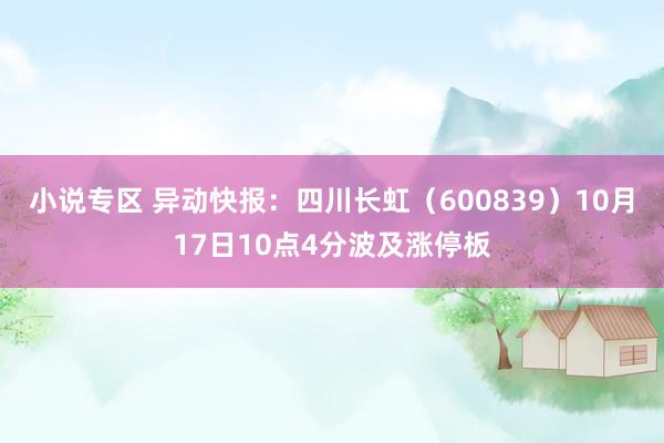 小说专区 异动快报：四川长虹（600839）10月17日10点4分波及涨停板