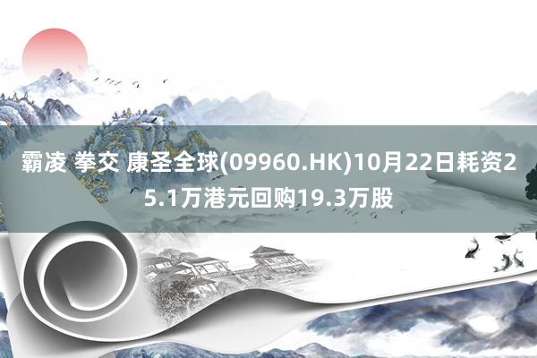 霸凌 拳交 康圣全球(09960.HK)10月22日耗资25.1万港元回购19.3万股