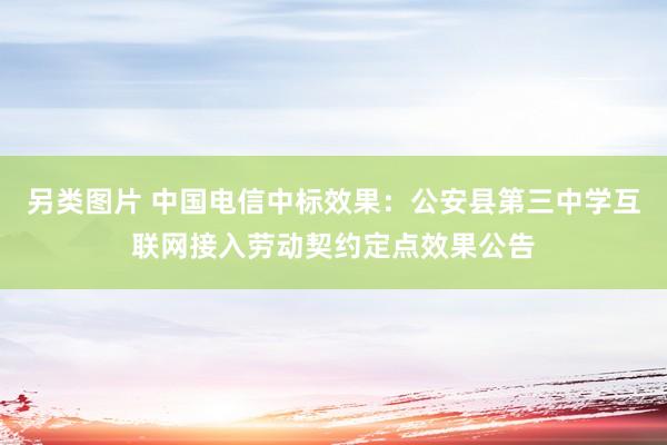 另类图片 中国电信中标效果：公安县第三中学互联网接入劳动契约定点效果公告