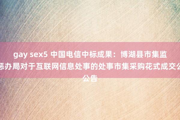 gay sex5 中国电信中标成果：博湖县市集监督惩办局对于互联网信息处事的处事市集采购花式成交公告