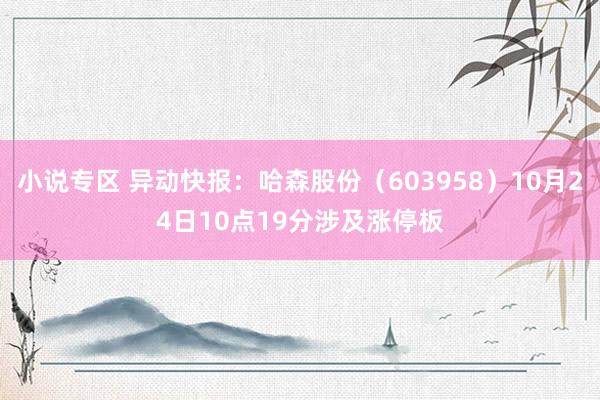 小说专区 异动快报：哈森股份（603958）10月24日10点19分涉及涨停板