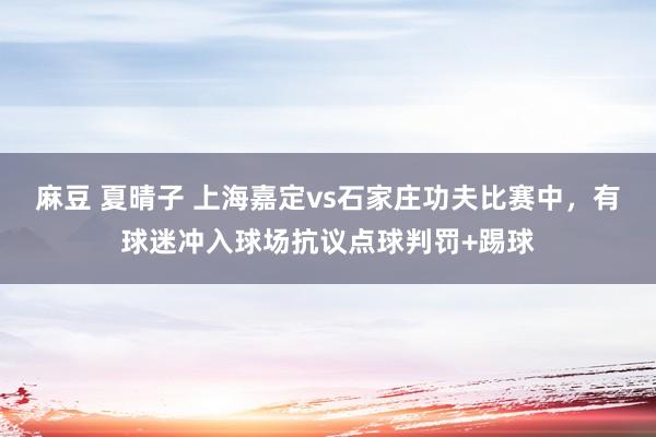 麻豆 夏晴子 上海嘉定vs石家庄功夫比赛中，有球迷冲入球场抗议点球判罚+踢球