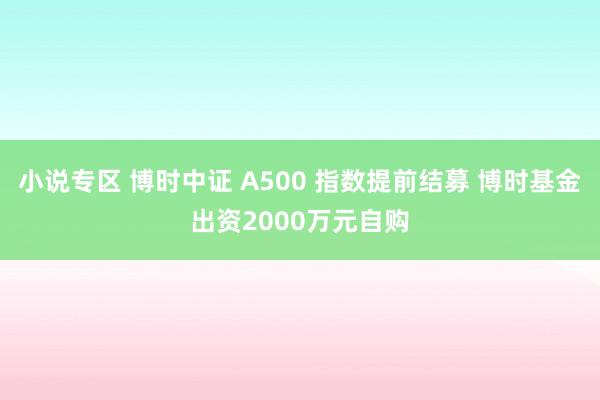 小说专区 博时中证 A500 指数提前结募 博时基金出资2000万元自购