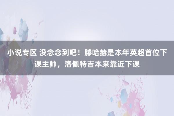 小说专区 没念念到吧！滕哈赫是本年英超首位下课主帅，洛佩特吉本来靠近下课