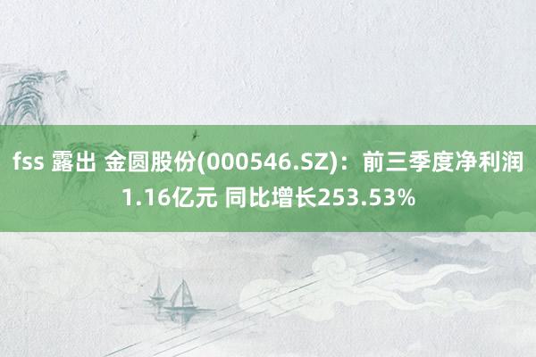 fss 露出 金圆股份(000546.SZ)：前三季度净利润1.16亿元 同比增长253.53%