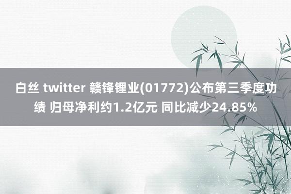 白丝 twitter 赣锋锂业(01772)公布第三季度功绩 归母净利约1.2亿元 同比减少24.85%