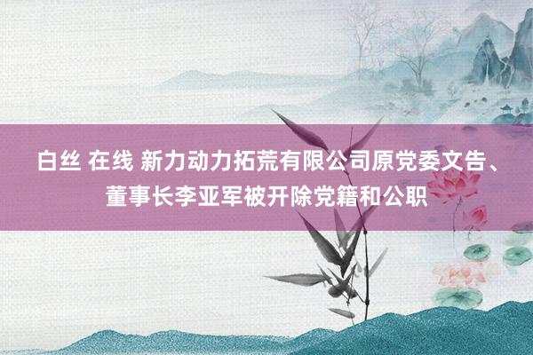 白丝 在线 新力动力拓荒有限公司原党委文告、董事长李亚军被开除党籍和公职