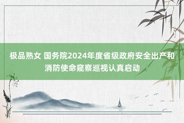 极品熟女 国务院2024年度省级政府安全出产和消防使命窥察巡视认真启动