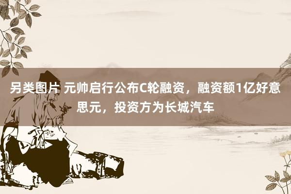 另类图片 元帅启行公布C轮融资，融资额1亿好意思元，投资方为长城汽车