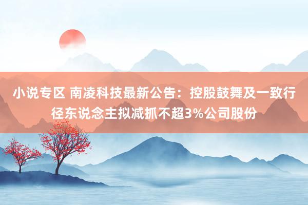 小说专区 南凌科技最新公告：控股鼓舞及一致行径东说念主拟减抓不超3%公司股份