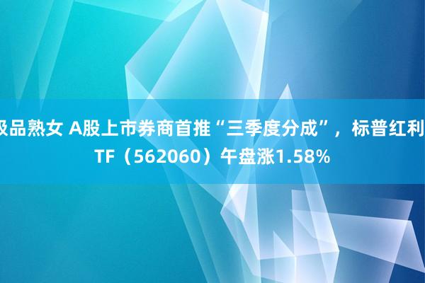 极品熟女 A股上市券商首推“三季度分成”，标普红利ETF（562060）午盘涨1.58%