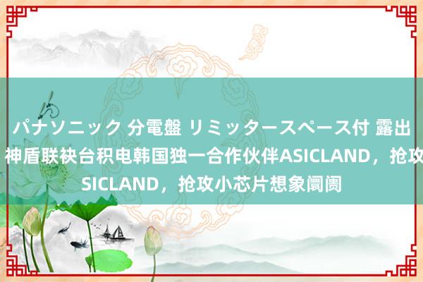 パナソニック 分電盤 リミッタースペース付 露出・半埋込両用形 神盾联袂台积电韩国独一合作伙伴ASICLAND，抢攻小芯片想象阛阓