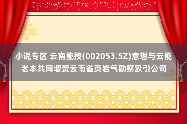 小说专区 云南能投(002053.SZ)意想与云能老本共同增资云南省页岩气勘察汲引公司