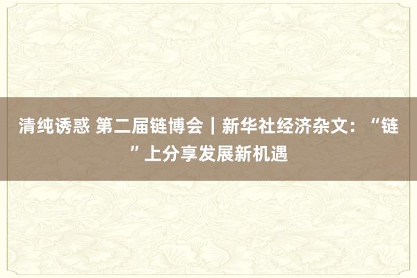 清纯诱惑 第二届链博会｜新华社经济杂文：“链”上分享发展新机遇