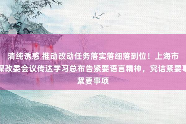 清纯诱惑 推动改动任务落实落细落到位！上海市委深改委会议传达学习总布告紧要语言精神，究诘紧要事项