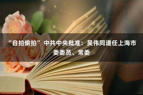 “自拍偷拍” 中共中央批准：吴伟同道任上海市委委员、常委