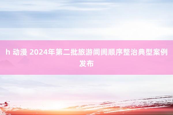 h 动漫 2024年第二批旅游阛阓顺序整治典型案例发布