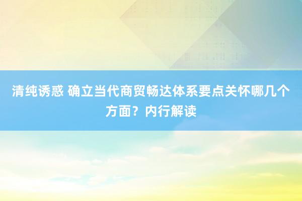 清纯诱惑 确立当代商贸畅达体系要点关怀哪几个方面？内行解读