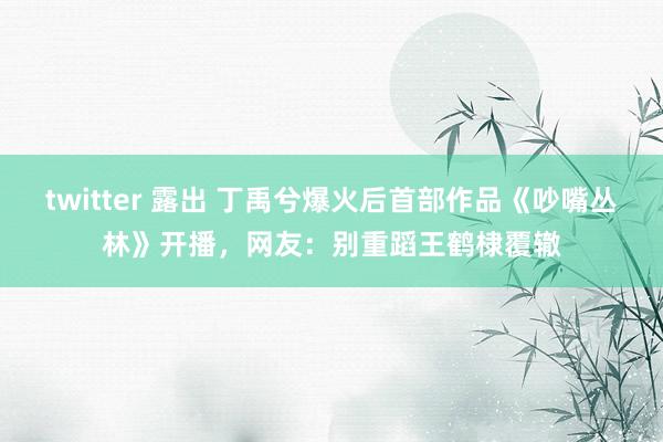 twitter 露出 丁禹兮爆火后首部作品《吵嘴丛林》开播，网友：别重蹈王鹤棣覆辙