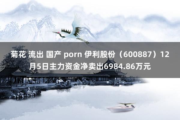 菊花 流出 国产 porn 伊利股份（600887）12月5日主力资金净卖出6984.86万元