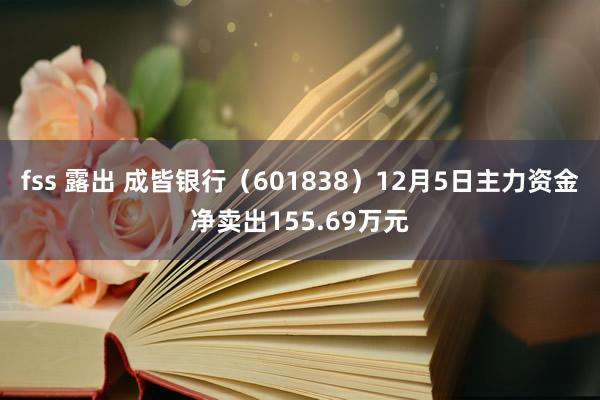 fss 露出 成皆银行（601838）12月5日主力资金净卖出155.69万元