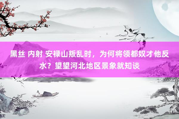 黑丝 内射 安禄山叛乱时，为何将领都奴才他反水？望望河北地区景象就知谈