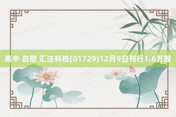 高中 自慰 汇注科技(01729)12月9日刊行1.6万股