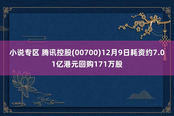 小说专区 腾讯控股(00700)12月9日耗资约7.01亿港元回购171万股