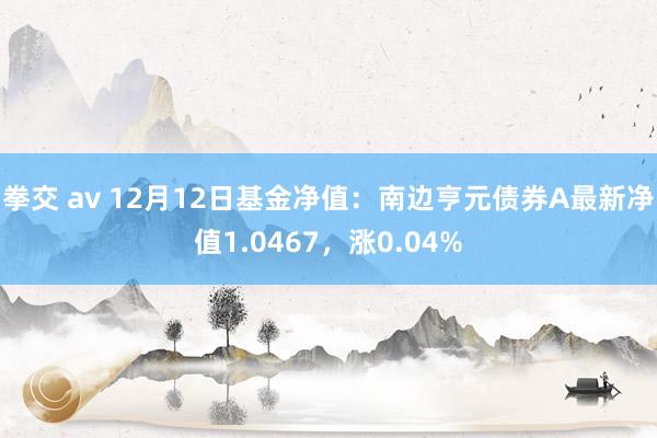 拳交 av 12月12日基金净值：南边亨元债券A最新净值1.0467，涨0.04%